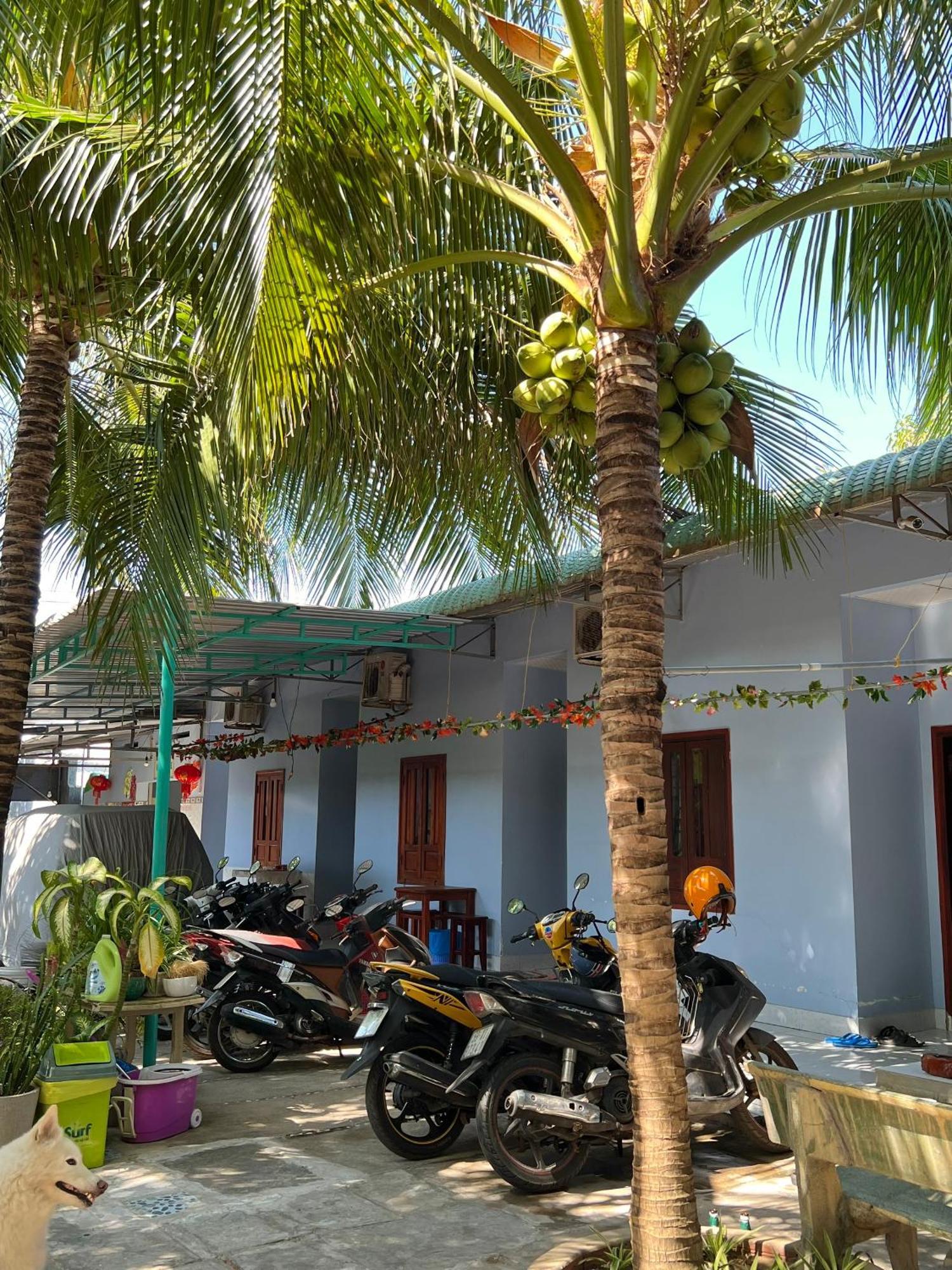 Duc Thao Guest House Mũi Né Buitenkant foto