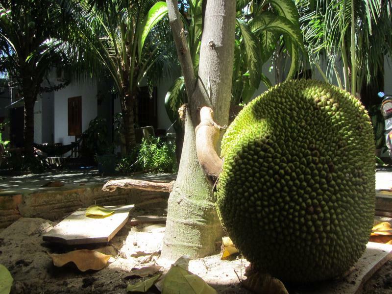Duc Thao Guest House Mũi Né Buitenkant foto