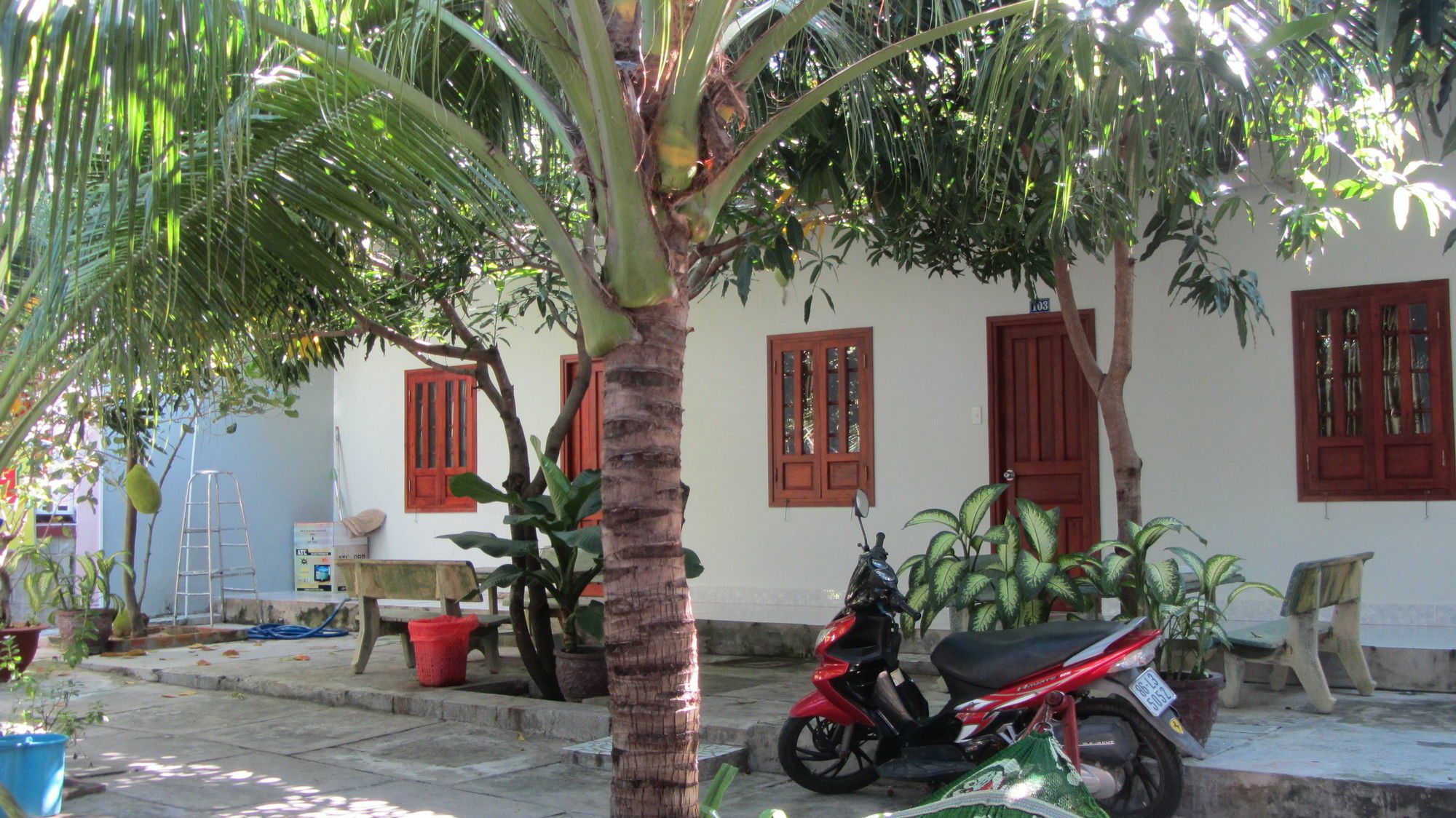 Duc Thao Guest House Mũi Né Buitenkant foto
