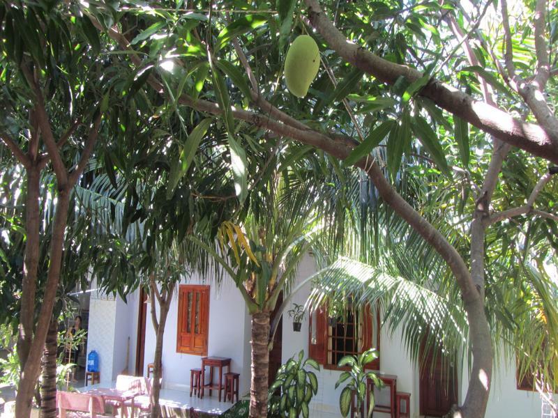 Duc Thao Guest House Mũi Né Buitenkant foto