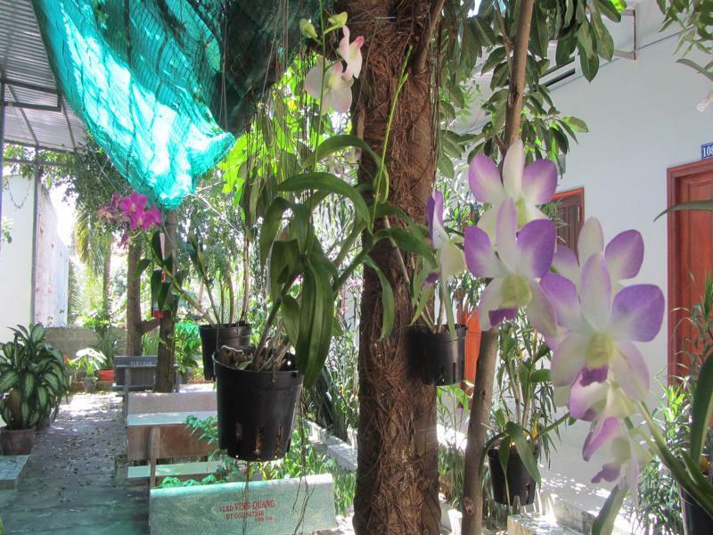 Duc Thao Guest House Mũi Né Buitenkant foto