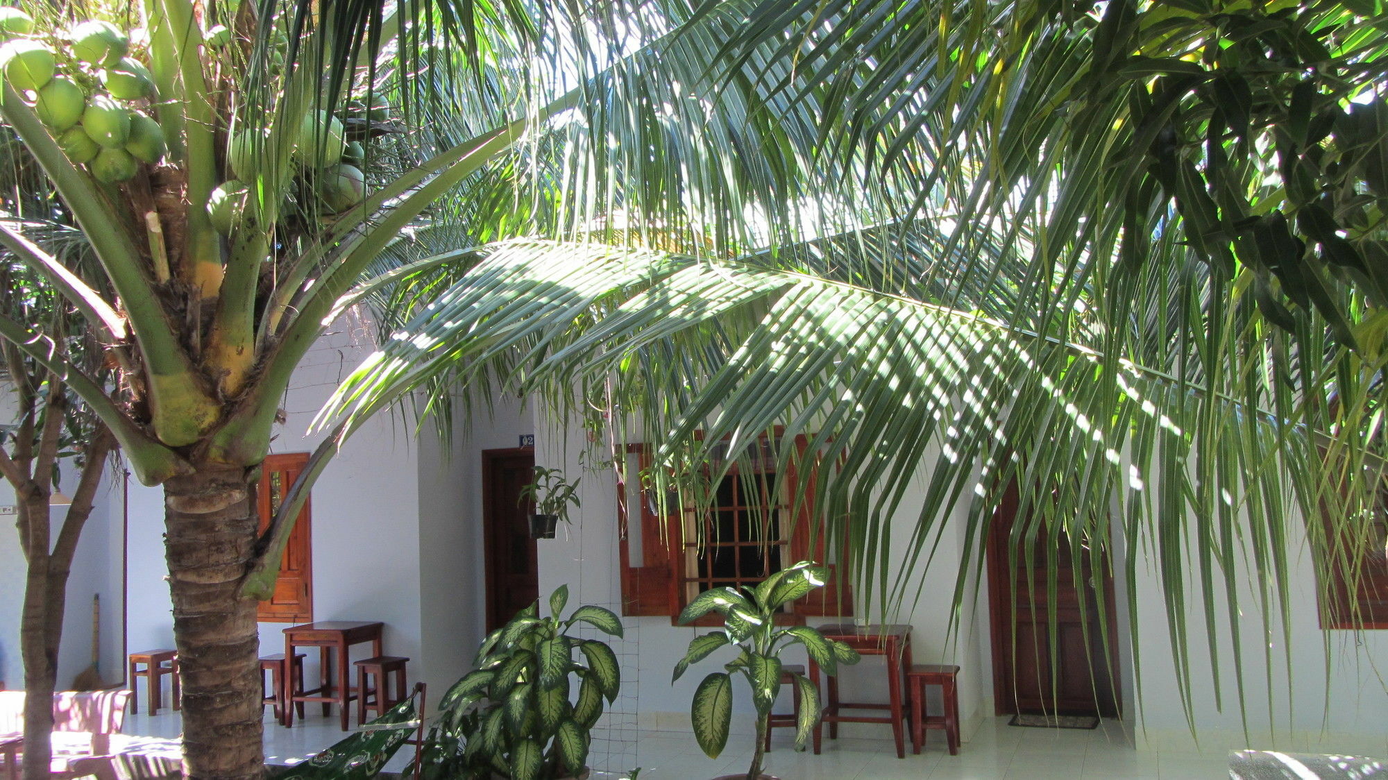 Duc Thao Guest House Mũi Né Buitenkant foto