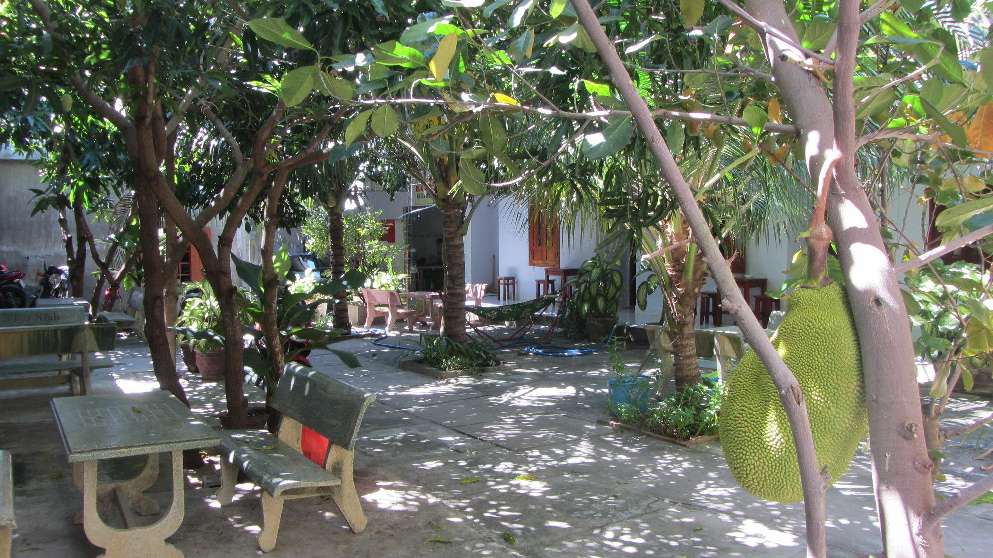 Duc Thao Guest House Mũi Né Buitenkant foto