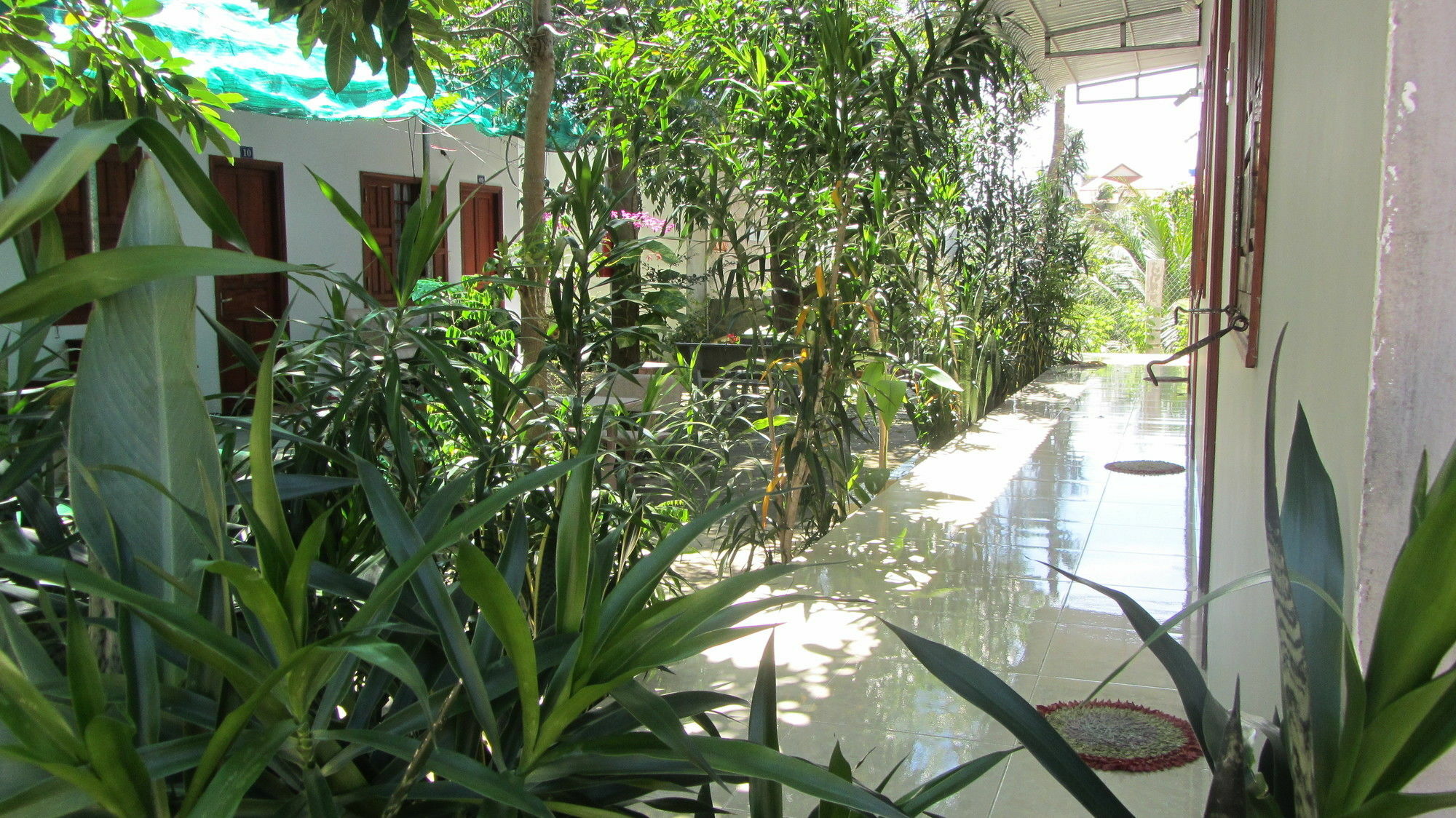 Duc Thao Guest House Mũi Né Buitenkant foto