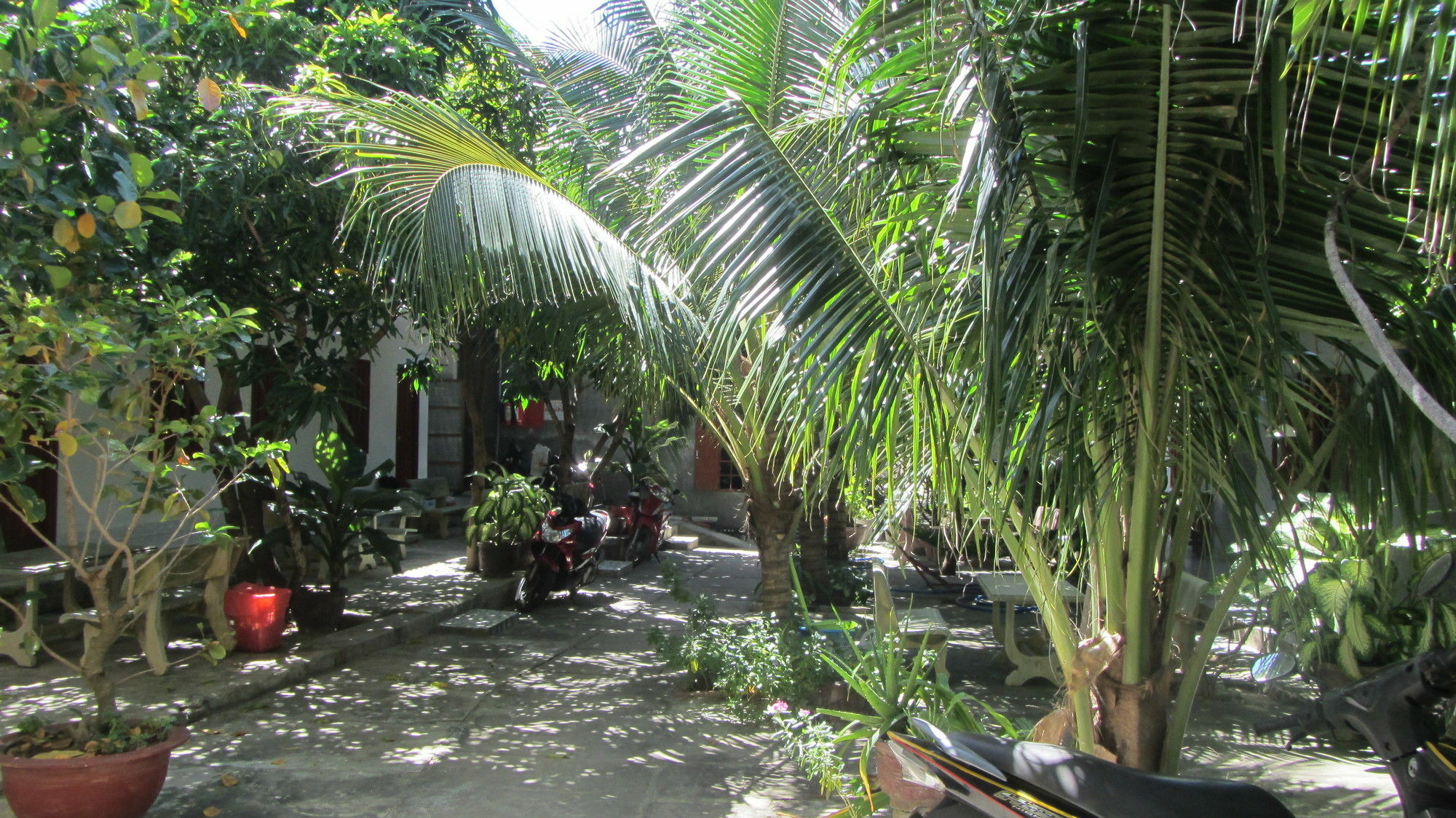 Duc Thao Guest House Mũi Né Buitenkant foto