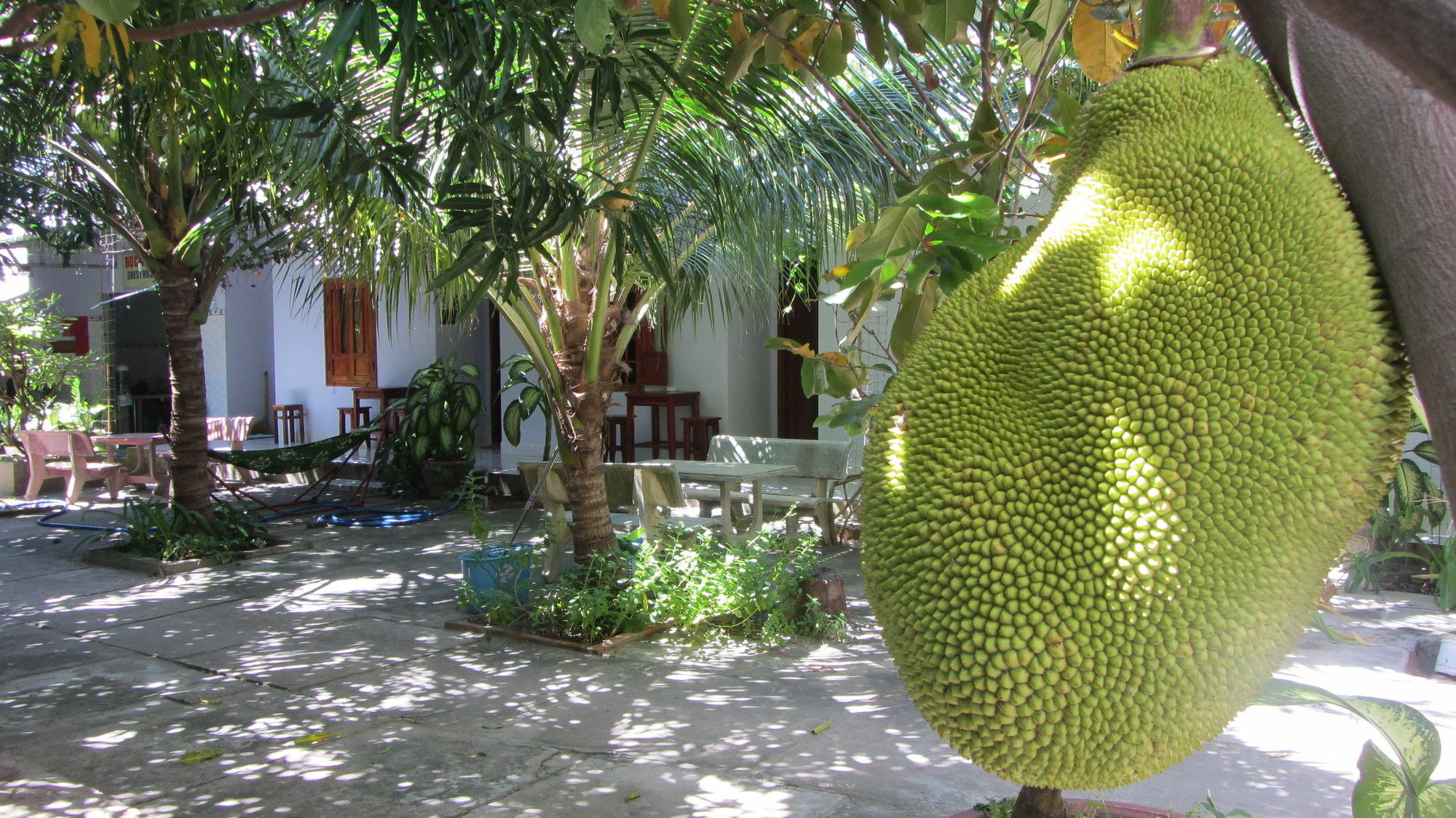 Duc Thao Guest House Mũi Né Buitenkant foto
